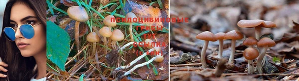 эйфоретик Коряжма