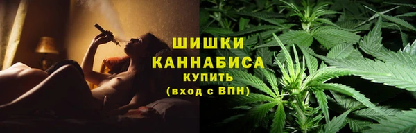 амф Костерёво
