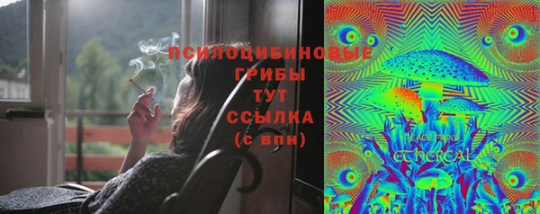 амф Костерёво