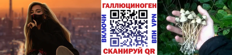 Купить где  Белозерск  Галлюциногенные грибы мицелий 